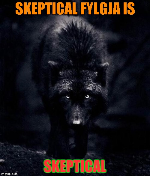 Black Wolf | SKEPTICAL FYLGJA IS; SKEPTICAL | image tagged in black wolf | made w/ Imgflip meme maker