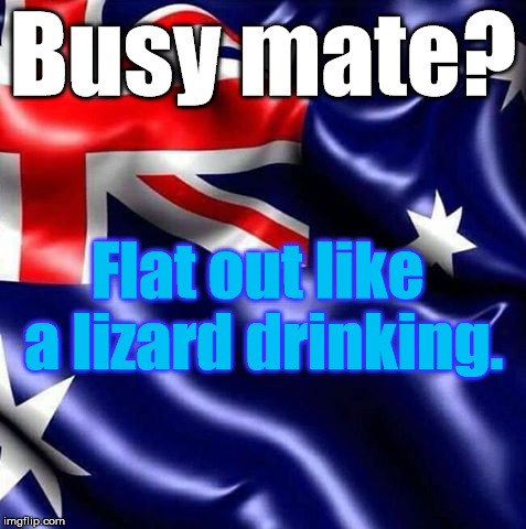 Busy mate? Flat out like a lizard drinking. | made w/ Imgflip meme maker
