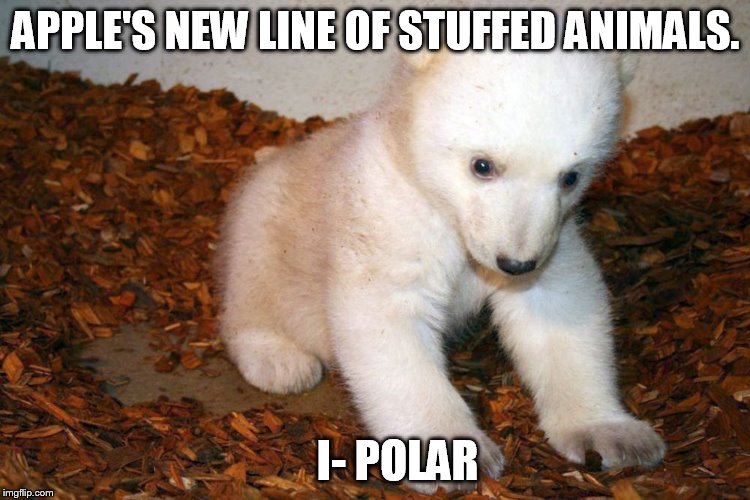APPLE'S NEW LINE OF STUFFED ANIMALS. I- POLAR | image tagged in apple  polar bear,stuffed | made w/ Imgflip meme maker