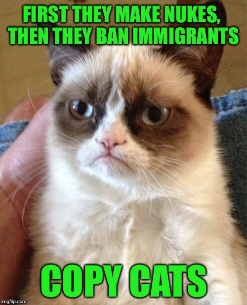 Grumpy Cat Meme | FIRST THEY MAKE NUKES, THEN THEY BAN IMMIGRANTS COPY CATS | image tagged in memes,grumpy cat | made w/ Imgflip meme maker