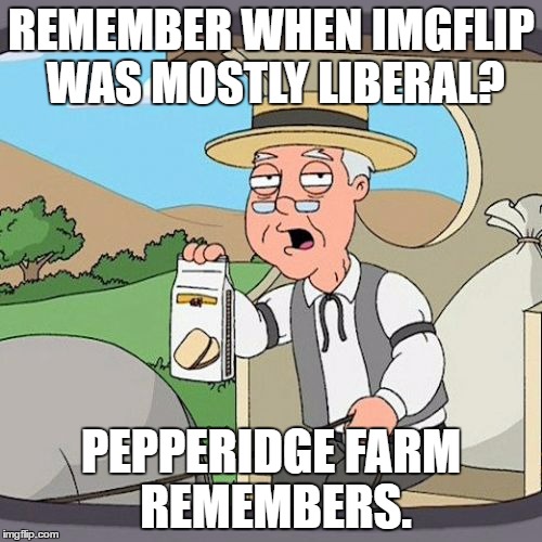Believe it or not, when I first started I remember having some political memes not featured by the admins. |  REMEMBER WHEN IMGFLIP WAS MOSTLY LIBERAL? PEPPERIDGE FARM REMEMBERS. | image tagged in memes,pepperidge farm remembers | made w/ Imgflip meme maker