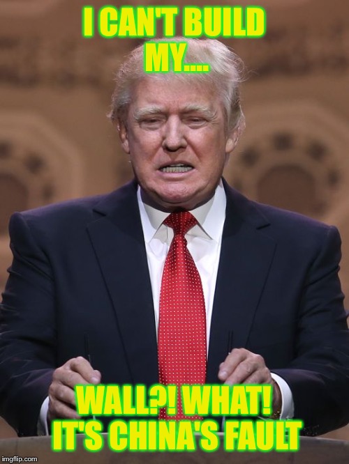 Donald Trump | I CAN'T BUILD MY.... WALL?! WHAT! IT'S CHINA'S FAULT | image tagged in donald trump | made w/ Imgflip meme maker
