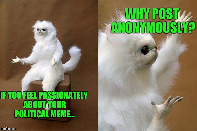 Wussy | WHY POST ANONYMOUSLY? IF YOU FEEL PASSIONATELY ABOUT YOUR POLITICAL MEME... | image tagged in memes,persian cat room guardian | made w/ Imgflip meme maker