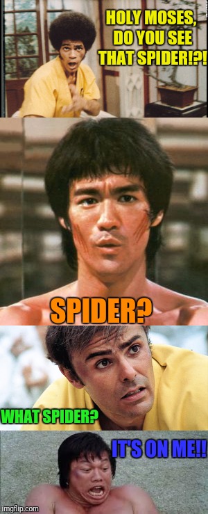 Some guys hate Spiders! | HOLY MOSES, DO YOU SEE THAT SPIDER!?! SPIDER? WHAT SPIDER? IT'S ON ME!! | image tagged in spider,bruce lee | made w/ Imgflip meme maker