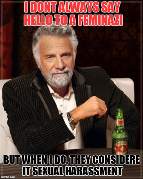 The Most Interesting Man In The World | I DONT ALWAYS SAY HELLO TO A FEMINAZI; BUT WHEN I DO, THEY CONSIDERE IT SEXUAL HARASSMENT | image tagged in memes,the most interesting man in the world,feminazi | made w/ Imgflip meme maker