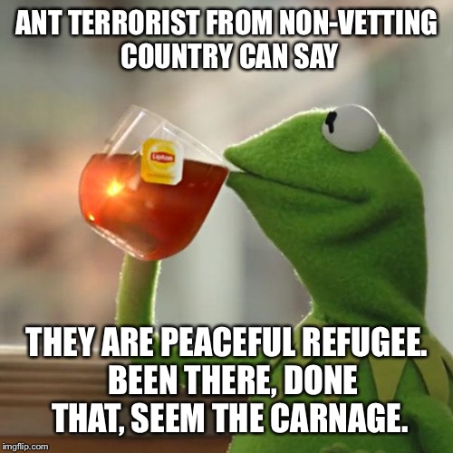 But That's None Of My Business Meme | ANT TERRORIST FROM NON-VETTING COUNTRY CAN SAY THEY ARE PEACEFUL REFUGEE.  BEEN THERE, DONE THAT, SEEM THE CARNAGE. | image tagged in memes,but thats none of my business,kermit the frog | made w/ Imgflip meme maker