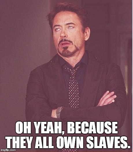 Face You Make Robert Downey Jr Meme | OH YEAH, BECAUSE THEY ALL OWN SLAVES. | image tagged in memes,face you make robert downey jr | made w/ Imgflip meme maker