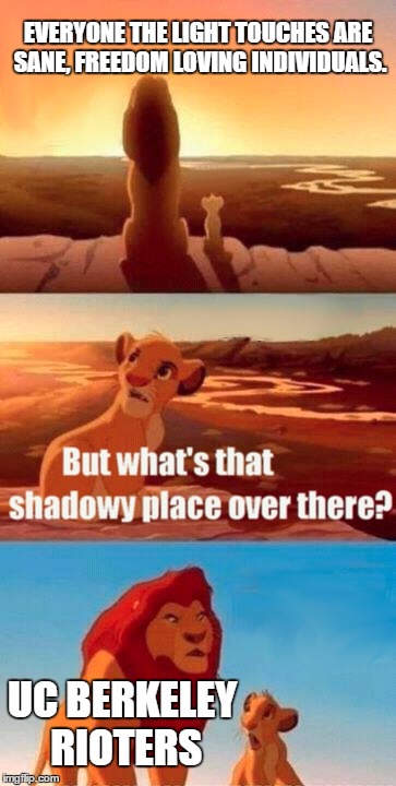 Simba Shadowy Place Meme | EVERYONE THE LIGHT TOUCHES ARE SANE, FREEDOM LOVING INDIVIDUALS. UC BERKELEY RIOTERS | image tagged in memes,simba shadowy place | made w/ Imgflip meme maker