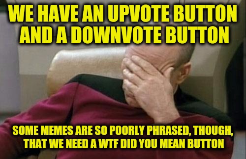 I could understand poor wording from non English speaking posters. But English speaking posters??? | WE HAVE AN UPVOTE BUTTON AND A DOWNVOTE BUTTON; SOME MEMES ARE SO POORLY PHRASED, THOUGH, THAT WE NEED A WTF DID YOU MEAN BUTTON | image tagged in memes,captain picard facepalm,upvote,downvote,wtf | made w/ Imgflip meme maker