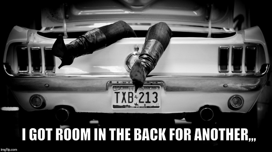 The Hooker in the Trunk of My Car | I GOT ROOM IN THE BACK FOR ANOTHER,,, | image tagged in the hooker in the trunk of my car | made w/ Imgflip meme maker
