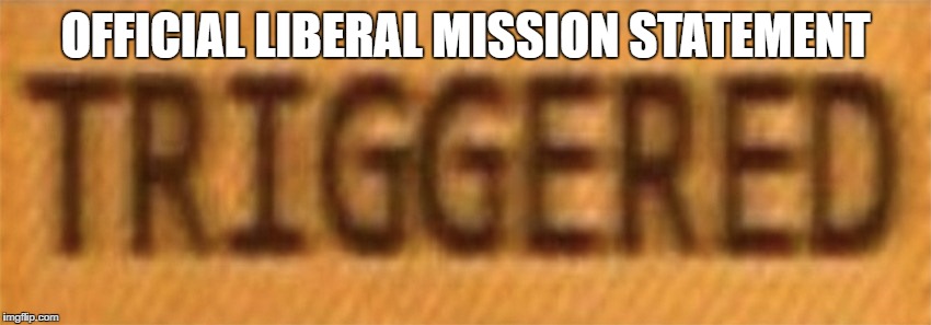 OFFICIAL LIBERAL MISSION STATEMENT | made w/ Imgflip meme maker