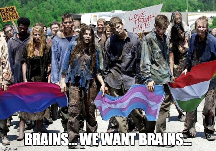 Season 2017 of The Walking Liberals | BRAINS... WE WANT BRAINS... | image tagged in walking liberals,zombies,dead,brain,protests,blm | made w/ Imgflip meme maker