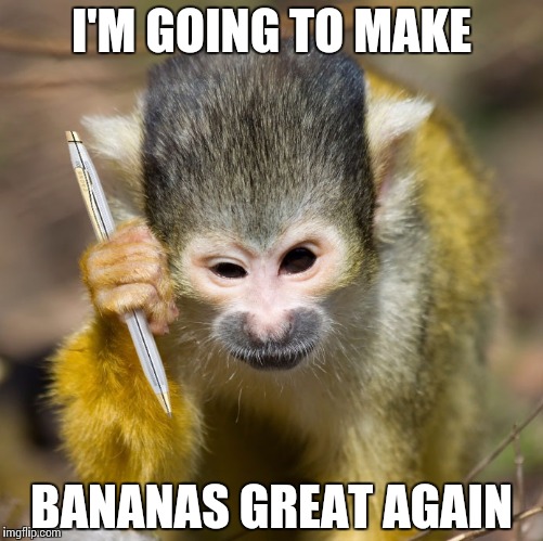 Monkey with a pen | I'M GOING TO MAKE; BANANAS GREAT AGAIN | image tagged in monkey,trump | made w/ Imgflip meme maker