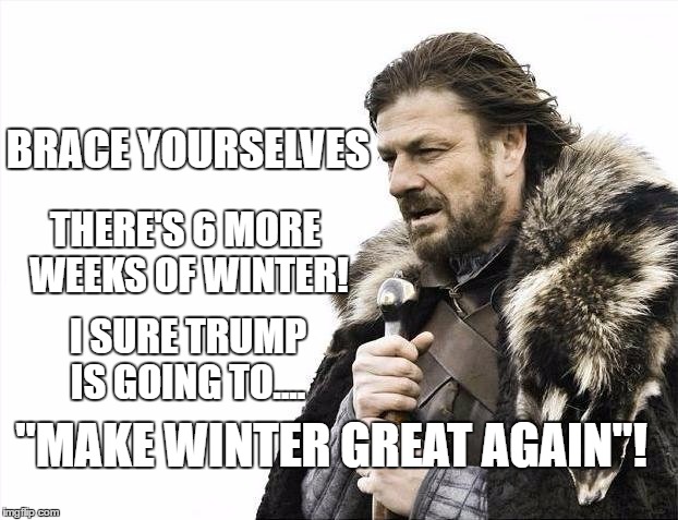 Brace Yourselves X is Coming | BRACE YOURSELVES; THERE'S 6 MORE WEEKS OF WINTER! I SURE TRUMP IS GOING TO.... "MAKE WINTER GREAT AGAIN"! | image tagged in memes,brace yourselves x is coming | made w/ Imgflip meme maker