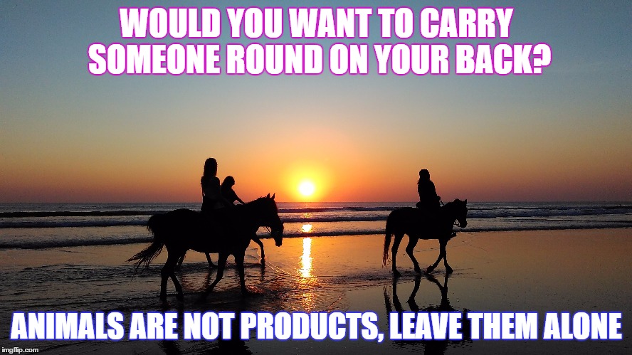 All 4 Vegan | WOULD YOU WANT TO CARRY SOMEONE ROUND ON YOUR BACK? ANIMALS ARE NOT PRODUCTS, LEAVE THEM ALONE | image tagged in vegan,veganism,horses,cruelty free,stop horse riding | made w/ Imgflip meme maker