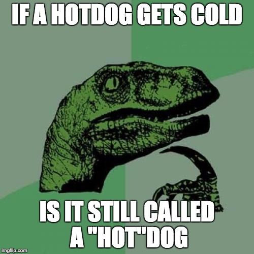 Philosoraptor | IF A HOTDOG GETS COLD; IS IT STILL CALLED A "HOT"DOG | image tagged in memes,philosoraptor | made w/ Imgflip meme maker