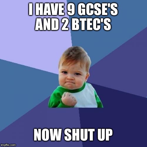 Success Kid Meme | I HAVE 9 GCSE'S AND 2 BTEC'S; NOW SHUT UP | image tagged in memes,success kid | made w/ Imgflip meme maker