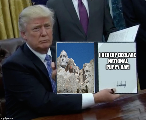 Trump Bill Signing Meme - Imgflip