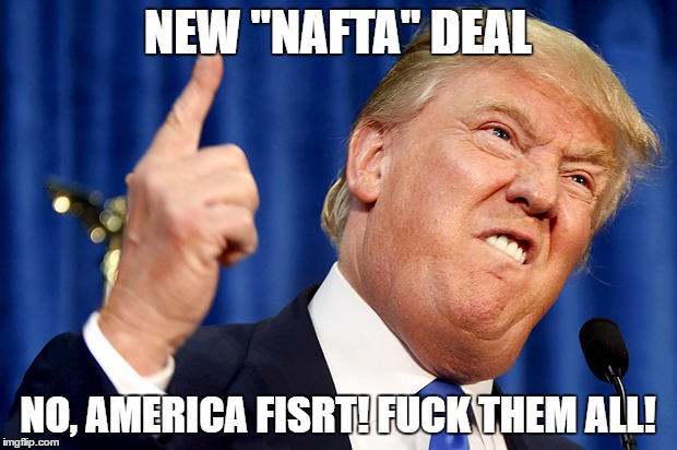 Donald Trump | NEW "NAFTA" DEAL; NO, AMERICA FISRT! FUCK THEM ALL! | image tagged in donald trump | made w/ Imgflip meme maker