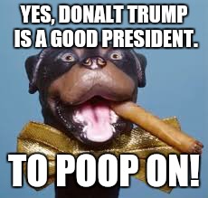 triumph the insult comedy dog rips Trump | YES, DONALT TRUMP IS A GOOD PRESIDENT. TO POOP ON! | image tagged in triumph the insult comedy dog rips trump | made w/ Imgflip meme maker