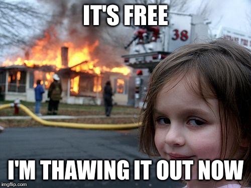 Disaster Girl Meme | IT'S FREE I'M THAWING IT OUT NOW | image tagged in memes,disaster girl | made w/ Imgflip meme maker