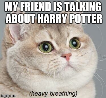 Heavy Breathing Cat | MY FRIEND IS TALKING ABOUT HARRY POTTER | image tagged in memes,heavy breathing cat | made w/ Imgflip meme maker