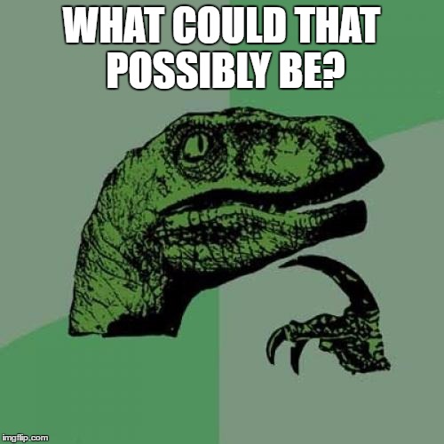 Philosoraptor Meme | WHAT COULD THAT POSSIBLY BE? | image tagged in memes,philosoraptor | made w/ Imgflip meme maker