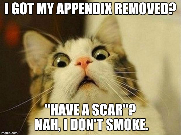 Assured cat | I GOT MY APPENDIX REMOVED? "HAVE A SCAR"? NAH, I DON'T SMOKE. | image tagged in memes,scared cat | made w/ Imgflip meme maker