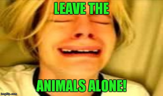 LEAVE THE ANIMALS ALONE! | made w/ Imgflip meme maker