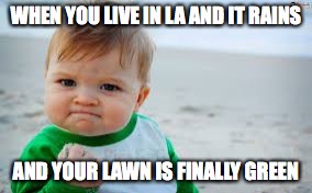 Evil toddler tax | WHEN YOU LIVE IN LA AND IT RAINS; AND YOUR LAWN IS FINALLY GREEN | image tagged in evil toddler tax | made w/ Imgflip meme maker
