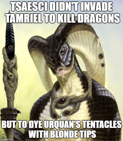 1iypn4.jpg