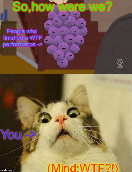 A WTF performance people finished be like... | So,how were we? People who finished a WTF performance ->; You ->; (Mind:WTF?!) | image tagged in memes,scared cat,member berries | made w/ Imgflip meme maker