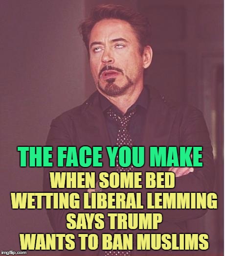 Face You Make Robert Downey Jr Meme | THE FACE YOU MAKE WHEN SOME BED WETTING LIBERAL LEMMING SAYS TRUMP WANTS TO BAN MUSLIMS | image tagged in memes,face you make robert downey jr | made w/ Imgflip meme maker