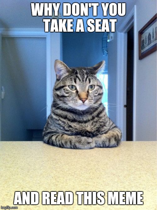 Take A Seat Cat Meme | WHY DON'T YOU TAKE A SEAT; AND READ THIS MEME | image tagged in memes,take a seat cat | made w/ Imgflip meme maker