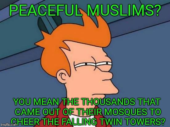 Futurama Fry | PEACEFUL MUSLIMS? YOU MEAN THE THOUSANDS THAT CAME OUT OF THEIR MOSQUES TO CHEER THE FALLING TWIN TOWERS? | image tagged in memes,futurama fry | made w/ Imgflip meme maker