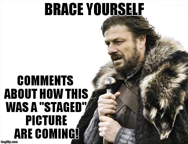 Brace Yourselves X is Coming Meme | BRACE YOURSELF COMMENTS ABOUT HOW THIS WAS A "STAGED" PICTURE ARE COMING! | image tagged in memes,brace yourselves x is coming | made w/ Imgflip meme maker