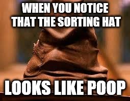 Harry Potter Sorting Hat | WHEN YOU NOTICE THAT THE SORTING HAT; LOOKS LIKE POOP | image tagged in harry potter sorting hat | made w/ Imgflip meme maker