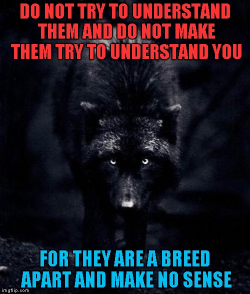monotheists | DO NOT TRY TO UNDERSTAND THEM AND DO NOT MAKE THEM TRY TO UNDERSTAND YOU; FOR THEY ARE A BREED APART AND MAKE NO SENSE | image tagged in monotheists | made w/ Imgflip meme maker