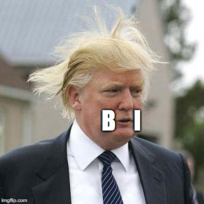 Donald Trump | B    I | image tagged in donald trump | made w/ Imgflip meme maker