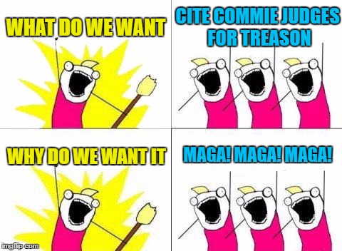 What Do We Want | WHAT DO WE WANT; CITE COMMIE JUDGES FOR TREASON; MAGA! MAGA! MAGA! WHY DO WE WANT IT | image tagged in memes,what do we want | made w/ Imgflip meme maker