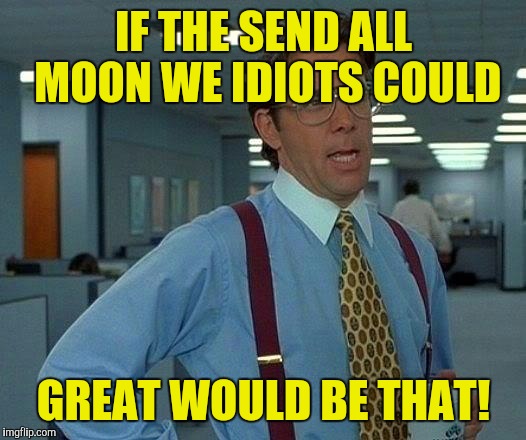 If we could send all the idiots to the moon TWBG! | IF THE SEND ALL MOON WE IDIOTS COULD; GREAT WOULD BE THAT! | image tagged in memes,that would be great | made w/ Imgflip meme maker