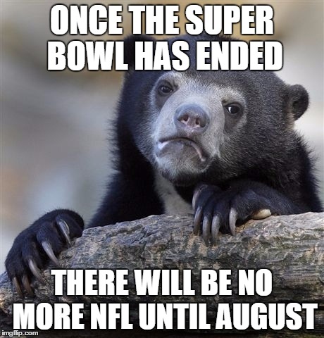 The only down side of The Super Bowl | ONCE THE SUPER BOWL HAS ENDED; THERE WILL BE NO MORE NFL UNTIL AUGUST | image tagged in memes,confession bear,nfl,super bowl,super bowl 51 | made w/ Imgflip meme maker