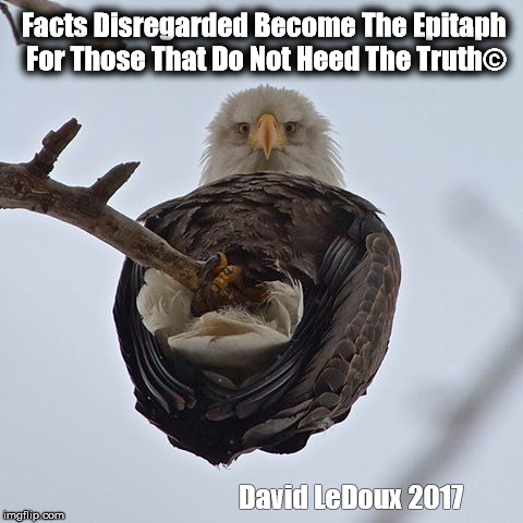 Facts Disregarded Become The Epitaph For Those That Do Not Heed The Truth©; David LeDoux 2017 | image tagged in facts | made w/ Imgflip meme maker
