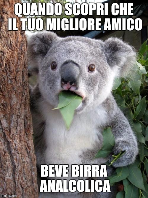 Surprised Koala | QUANDO SCOPRI CHE IL TUO MIGLIORE AMICO; BEVE BIRRA ANALCOLICA | image tagged in memes,surprised koala | made w/ Imgflip meme maker