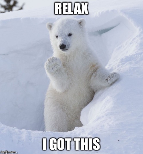RELAX; I GOT THIS | image tagged in polar cub waving | made w/ Imgflip meme maker
