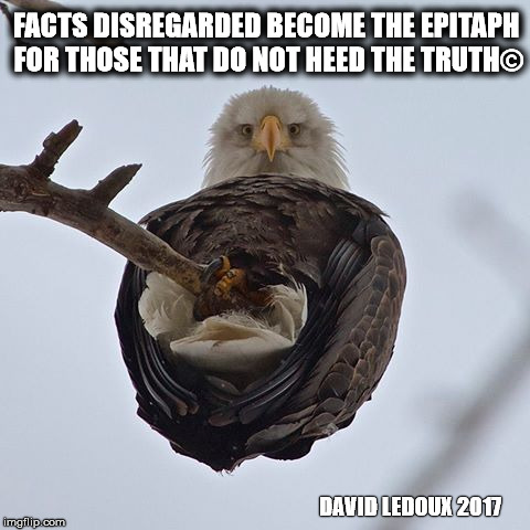 FACTS DISREGARDED BECOME THE EPITAPH FOR THOSE THAT DO NOT HEED THE TRUTH©; DAVID LEDOUX 2017 | image tagged in political,truth,facts,alt-facts,fake news,news | made w/ Imgflip meme maker