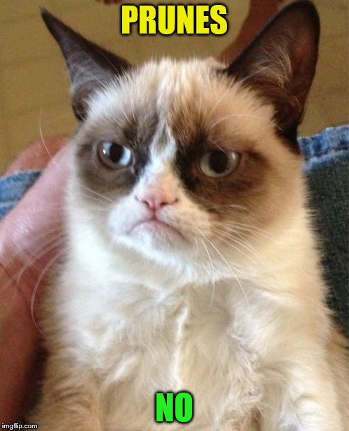 Grumpy Cat Meme | PRUNES NO | image tagged in memes,grumpy cat | made w/ Imgflip meme maker