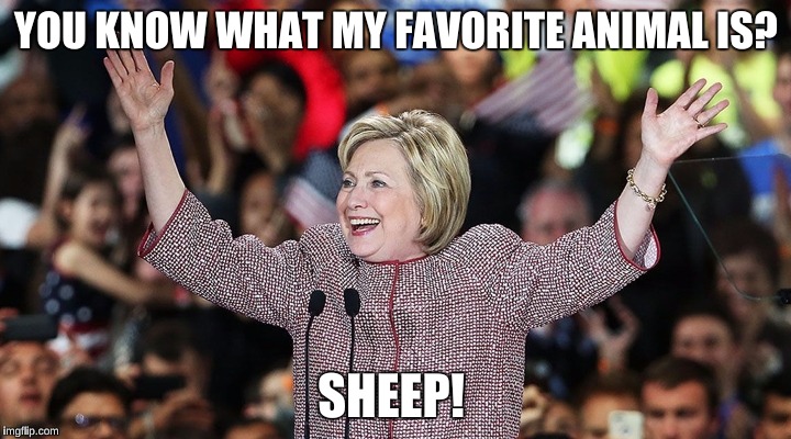 YOU KNOW WHAT MY FAVORITE ANIMAL IS? SHEEP! | made w/ Imgflip meme maker