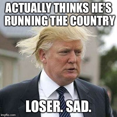 Donald Trump | ACTUALLY THINKS HE'S RUNNING THE COUNTRY; LOSER. SAD. | image tagged in donald trump | made w/ Imgflip meme maker