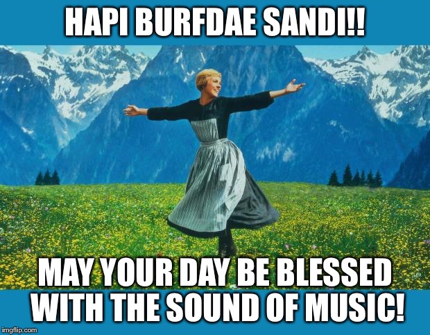 the sound of music happiness | HAPI BURFDAE SANDI!! MAY YOUR DAY BE BLESSED WITH THE SOUND OF MUSIC! | image tagged in the sound of music happiness | made w/ Imgflip meme maker